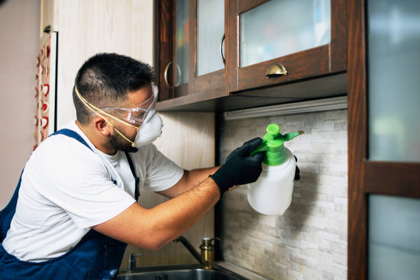 Reliable Columbia, MS Pest Control Solutions