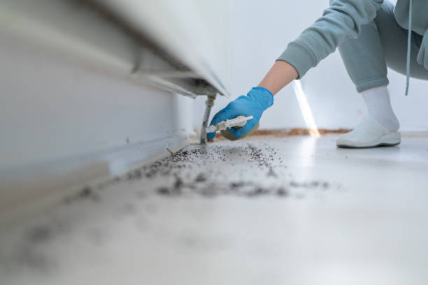 Best Emergency Pest Control  in Columbia, MS